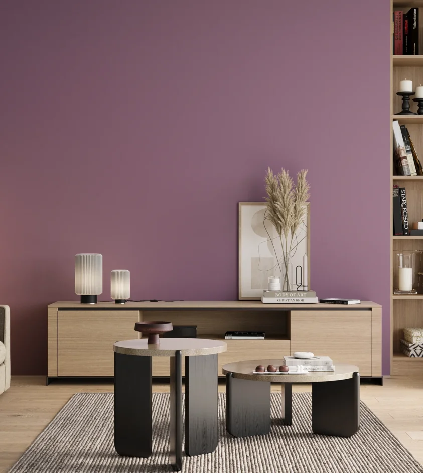 P10_SNIEZKA_salon_00_neutral_GREY_S3030-R40B