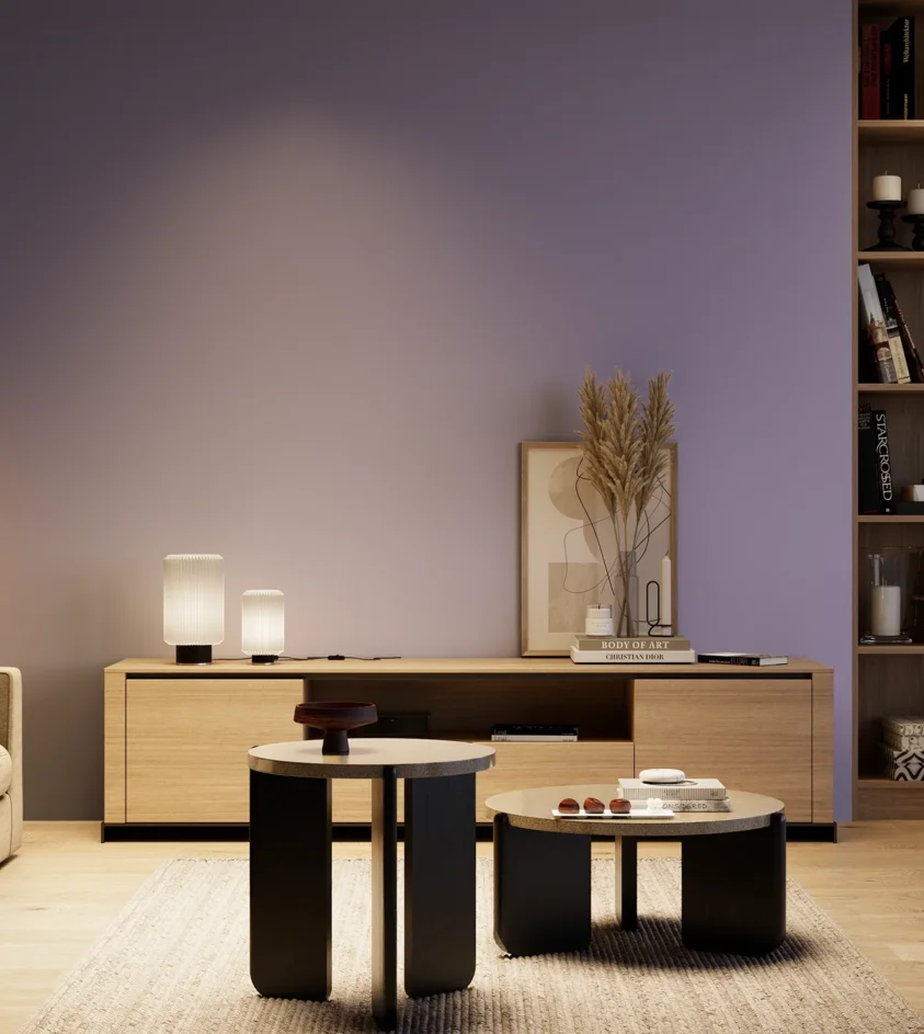 P10_SNIEZKA_salon_04_cieple_GREY_S3030-R60B