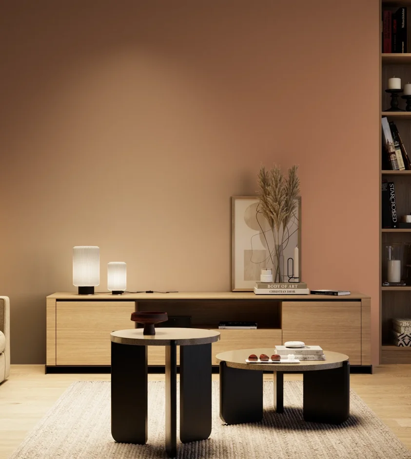 P10_SNIEZKA_salon_04_cieple_GREY_S3030-Y60R