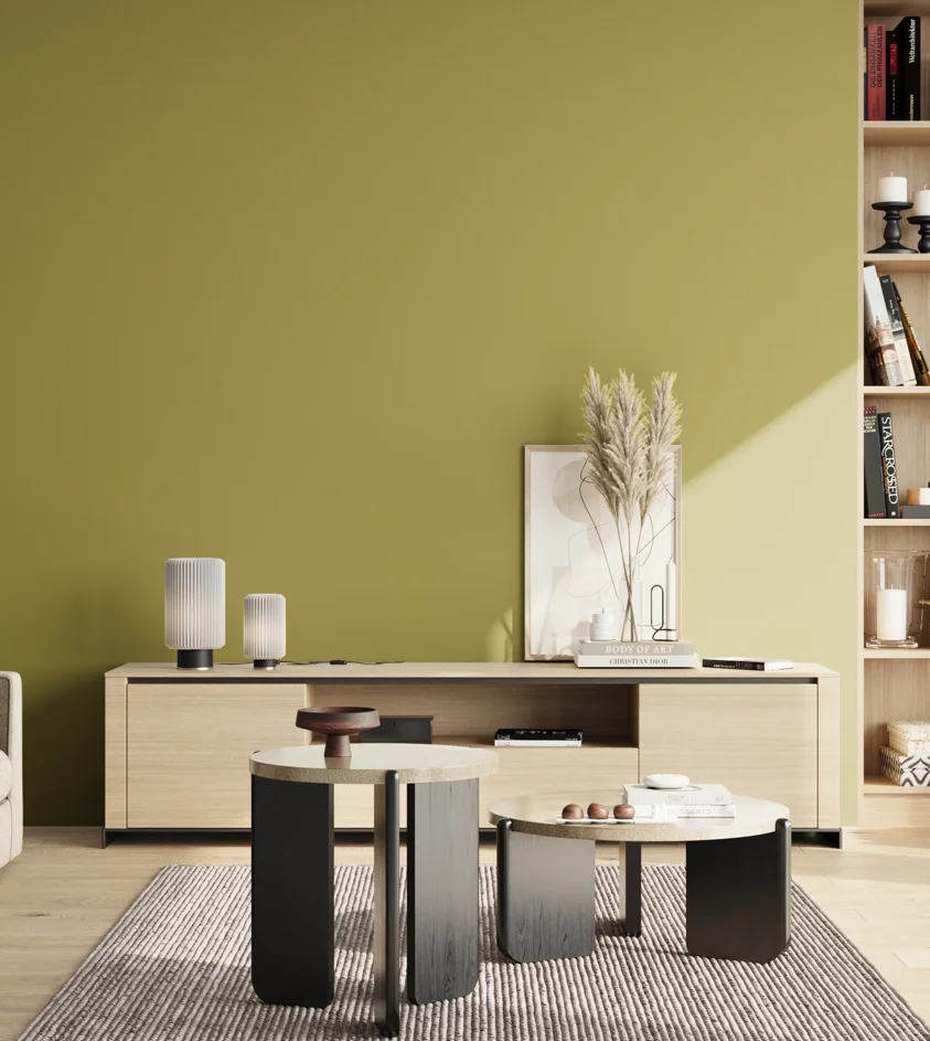 P10_SNIEZKA_salon_02_poludnie_GREY_S3040-G80Y