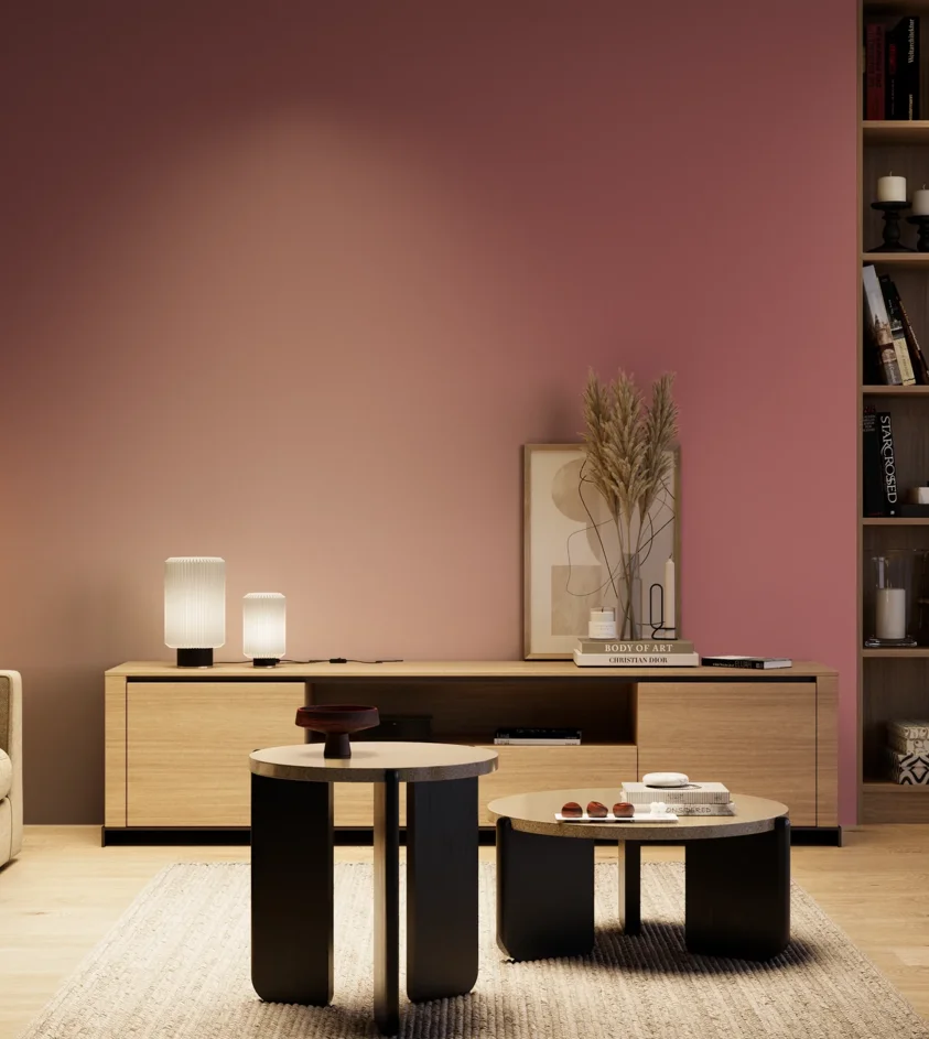 P10_SNIEZKA_salon_04_cieple_GREY_S3040-R10B