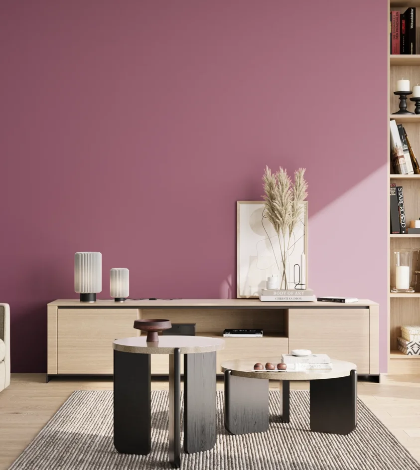 P10_SNIEZKA_salon_02_poludnie_GREY_S3040-R30B