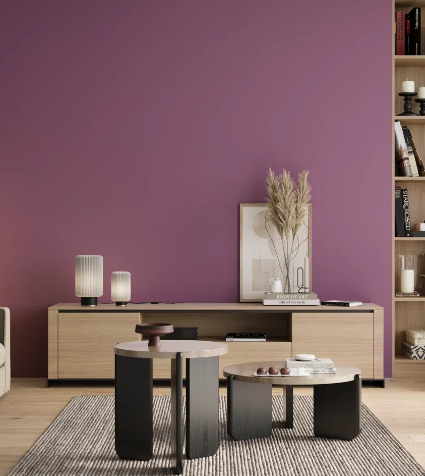 P10_SNIEZKA_salon_00_neutral_GREY_S3040-R40B