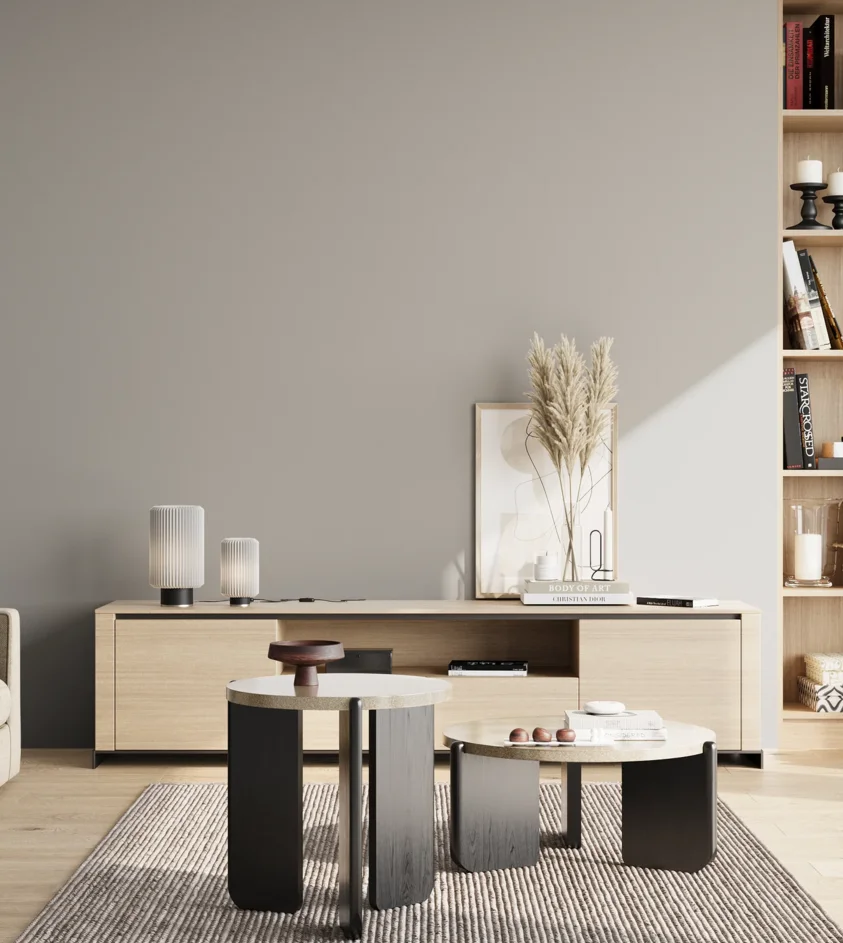 P10_SNIEZKA_salon_02_poludnie_GREY_B23