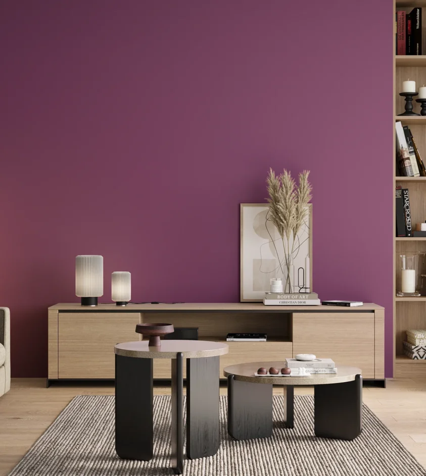 P10_SNIEZKA_salon_00_neutral_GREY_S3050-R40B