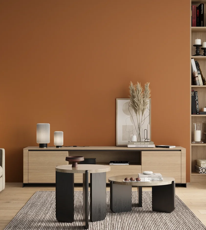 P10_SNIEZKA_salon_00_neutral_GREY_S3050-Y40R