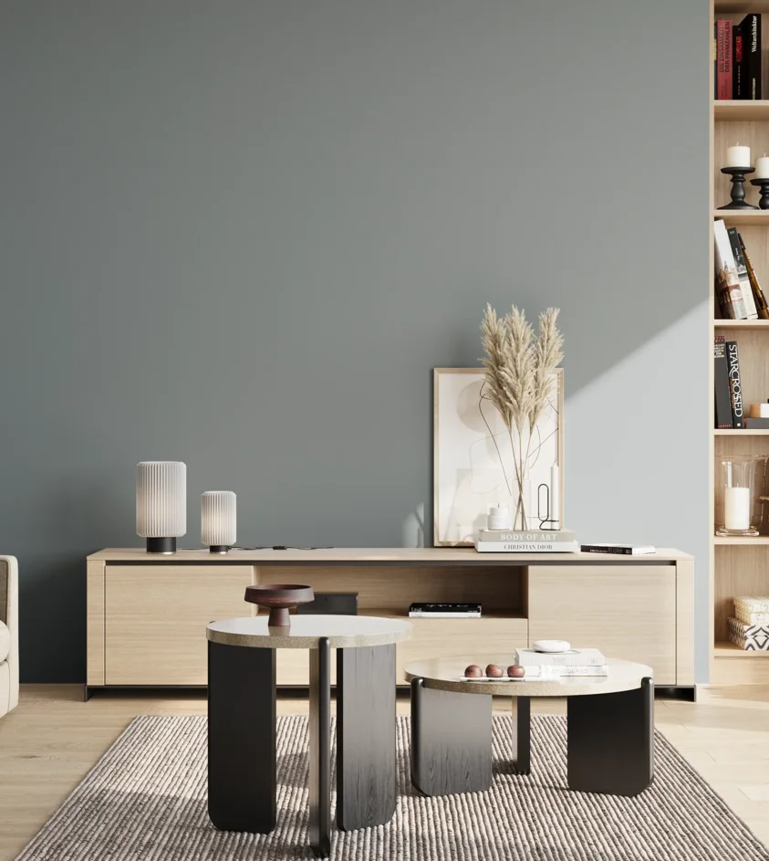 P10_SNIEZKA_salon_02_poludnie_GREY_S4010-B10G