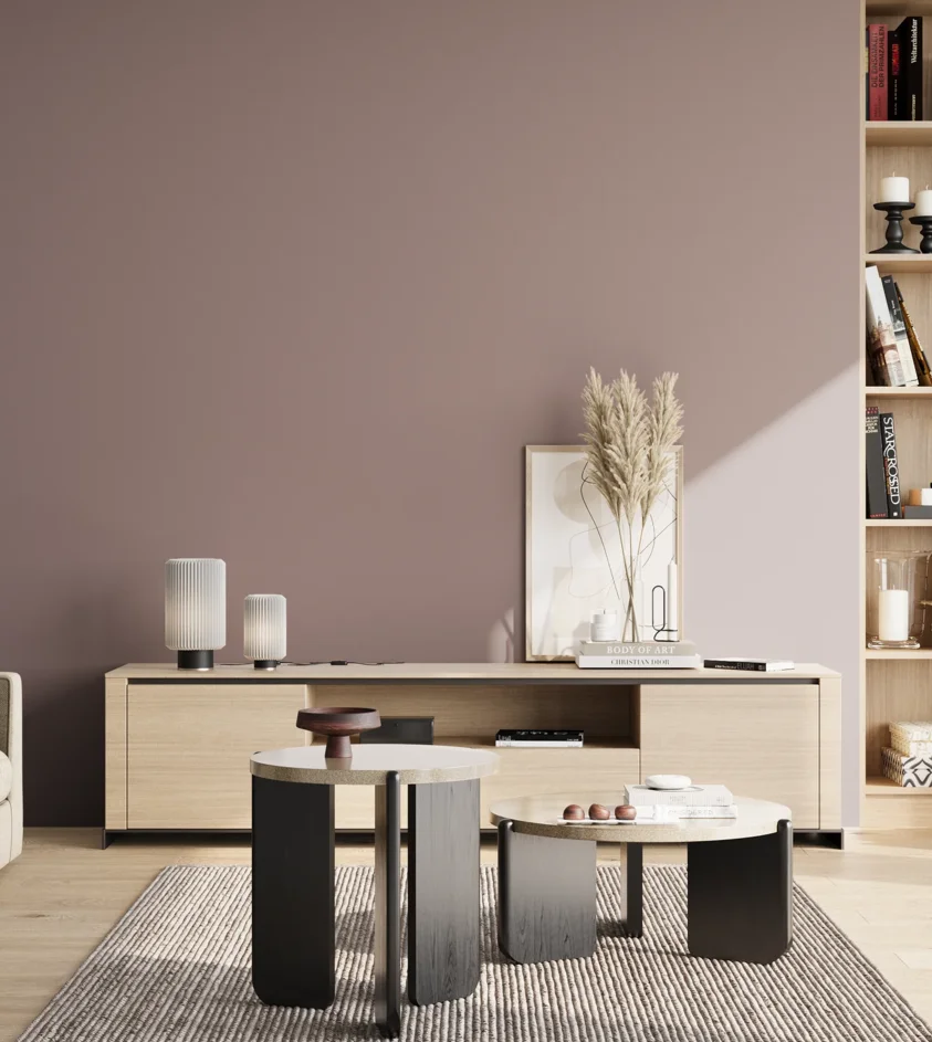 P10_SNIEZKA_salon_02_poludnie_GREY_S4010-R10B