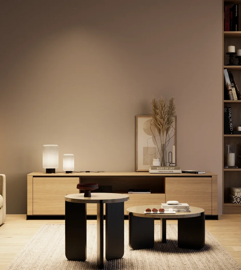 P10_SNIEZKA_salon_04_cieple_GREY_S4010-Y70R
