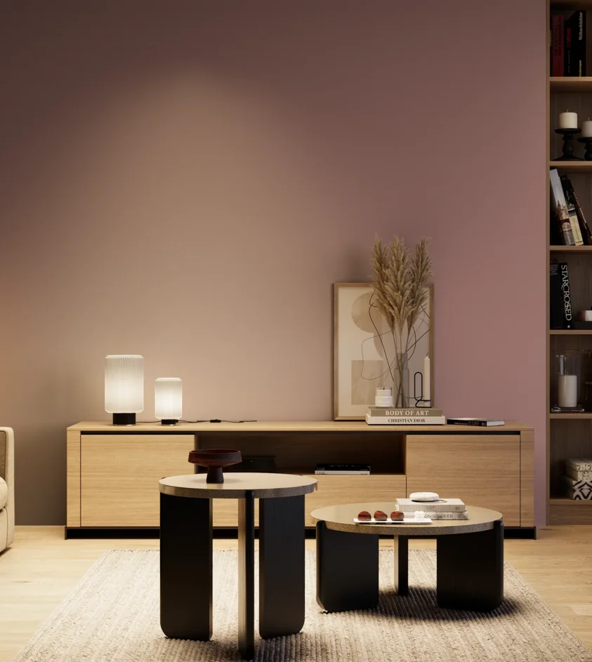P10_SNIEZKA_salon_04_cieple_GREY_S4020-R10B