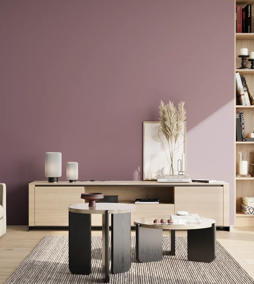 P10_SNIEZKA_salon_02_poludnie_GREY_S4020-R30B