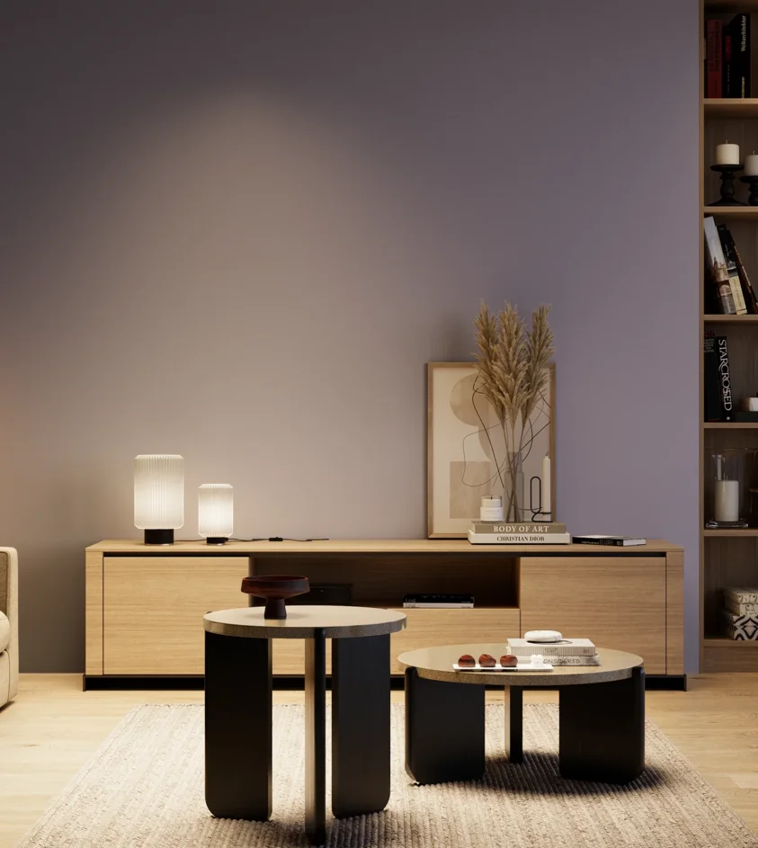 P10_SNIEZKA_salon_04_cieple_GREY_S4020-R60B