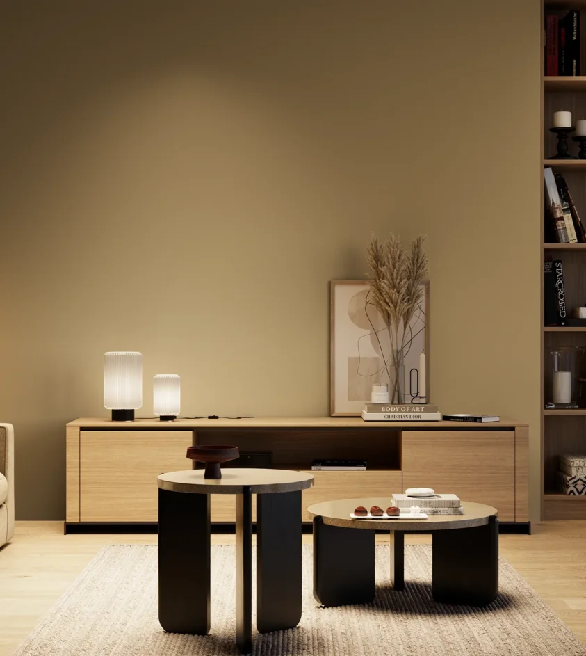 P10_SNIEZKA_salon_04_cieple_GREY_S4020-Y10R