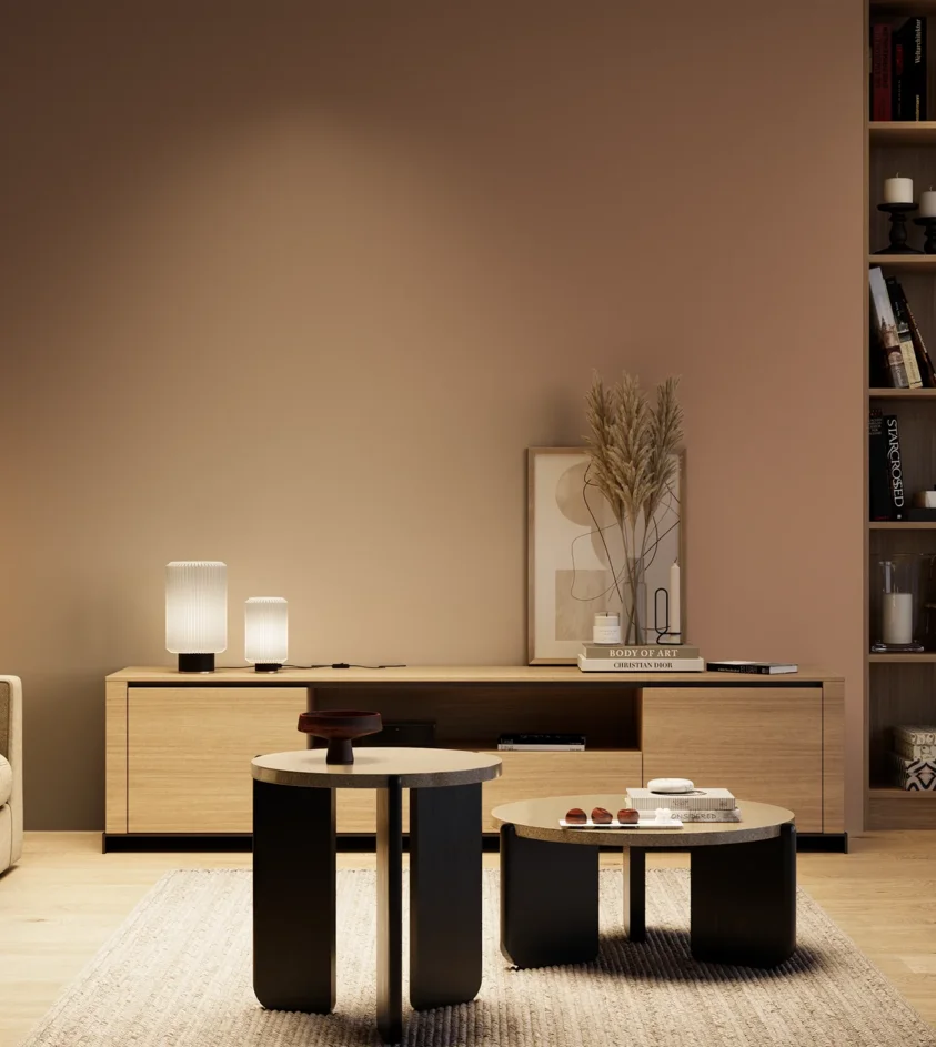 P10_SNIEZKA_salon_04_cieple_GREY_S4020-Y60R