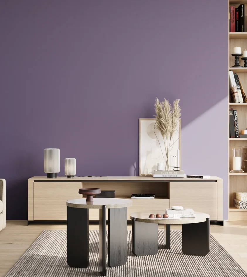 P10_SNIEZKA_salon_02_poludnie_GREY_S4030-R60B