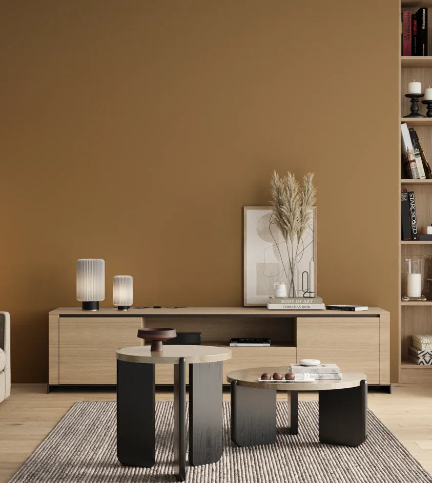 P10_SNIEZKA_salon_00_neutral_GREY_S4030-Y20R