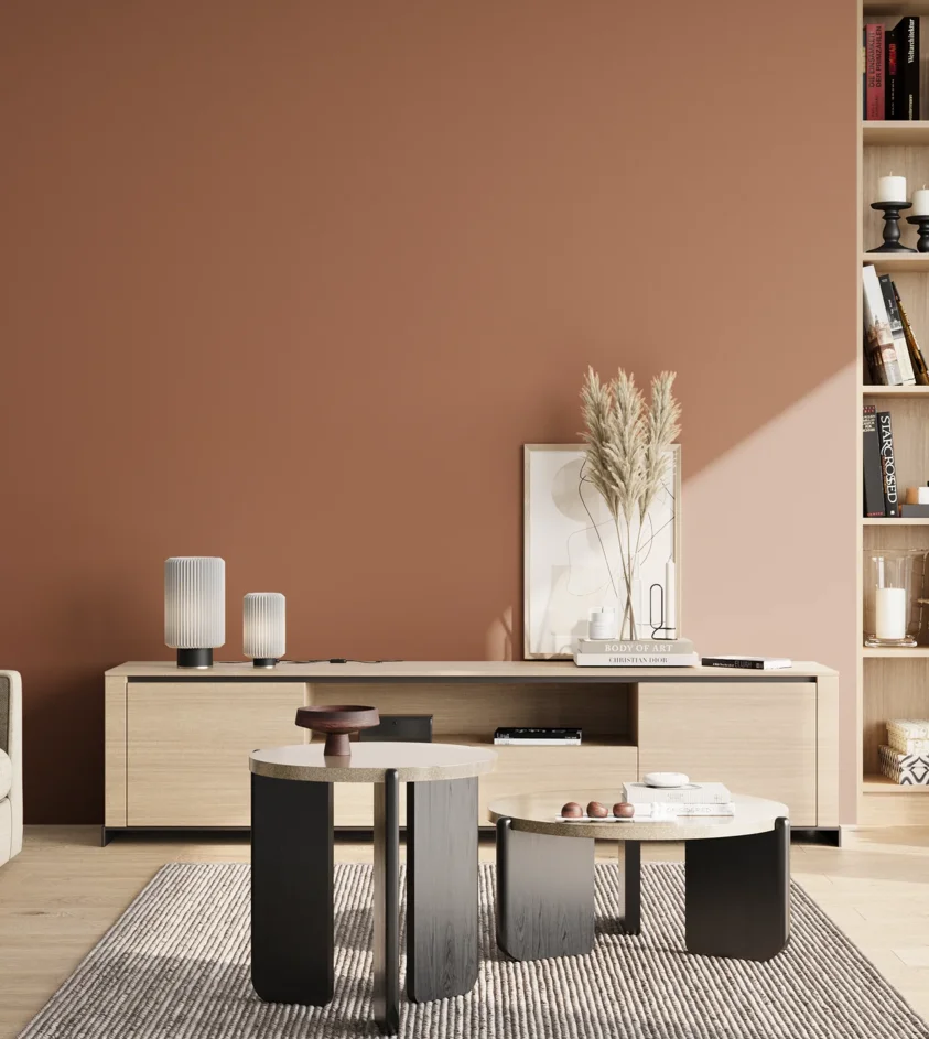 P10_SNIEZKA_salon_02_poludnie_GREY_S4030-Y60R
