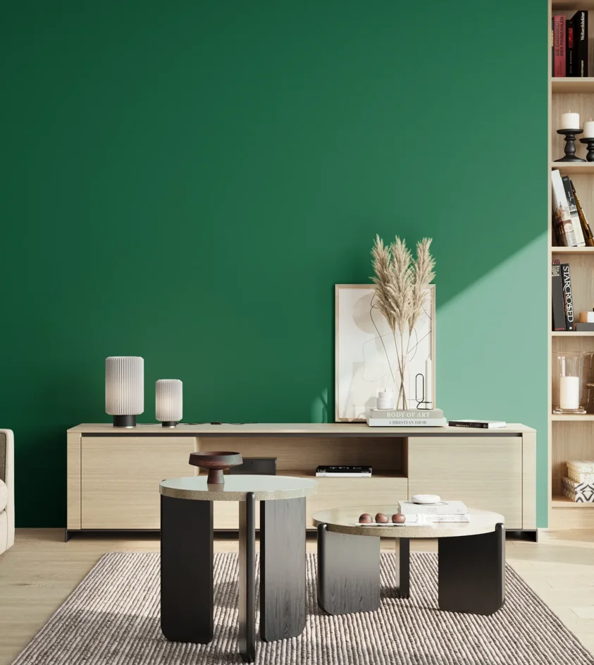 P10_SNIEZKA_salon_02_poludnie_GREY_S4550-G