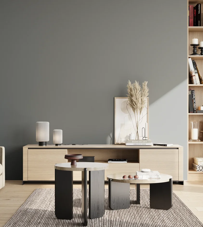 P10_SNIEZKA_salon_02_poludnie_GREY_S5005-B20G