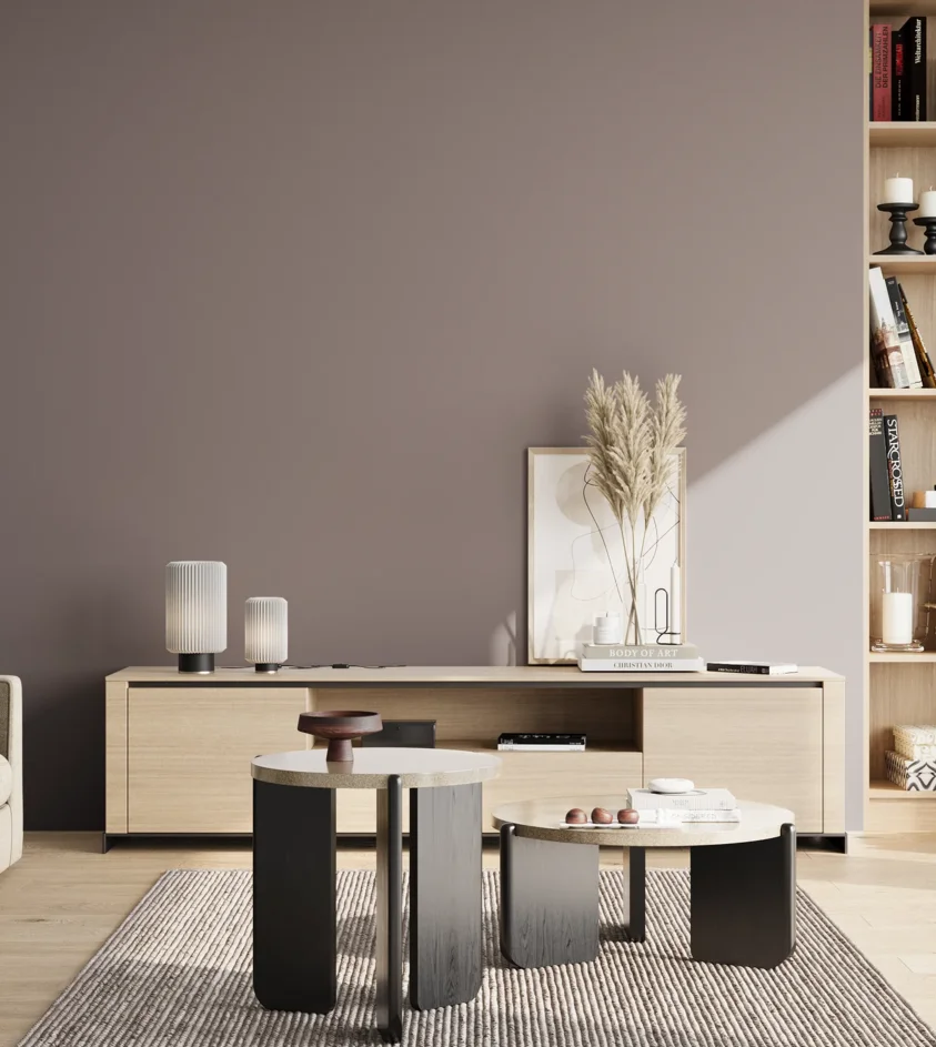 P10_SNIEZKA_salon_02_poludnie_GREY_S5005-R20B