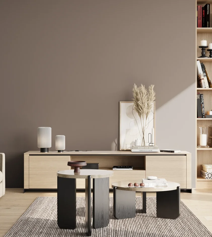 P10_SNIEZKA_salon_02_poludnie_GREY_S5005-Y80R