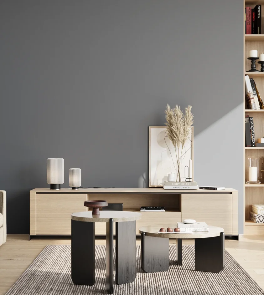 P10_SNIEZKA_salon_02_poludnie_GREY_S5010-R90B