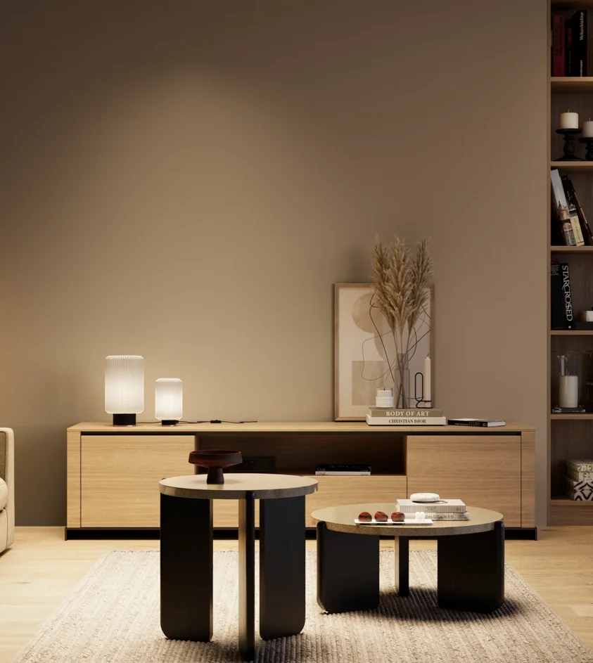 P10_SNIEZKA_salon_04_cieple_GREY_S5010-Y50R