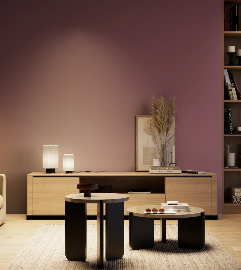 P10_SNIEZKA_salon_04_cieple_GREY_S5030-R30B