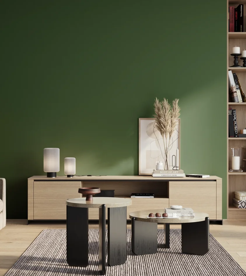 P10_SNIEZKA_salon_01_poranek_GREY_S5540-G20Y