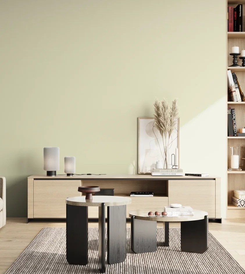 P10_SNIEZKA_salon_02_poludnie_GREY_S0507-G80Y