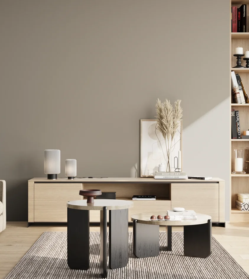 P10_SNIEZKA_salon_02_poludnie_GREY_S3502-Y20R