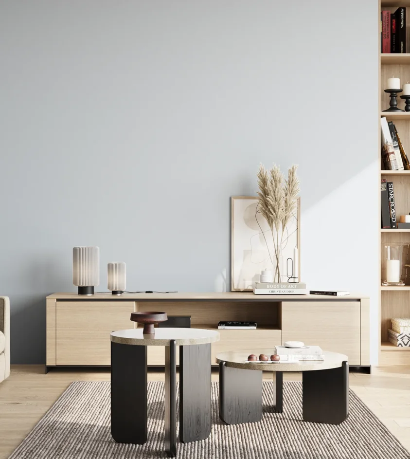 P10_SNIEZKA_salon_02_poludnie_GREY_S0507-R80B