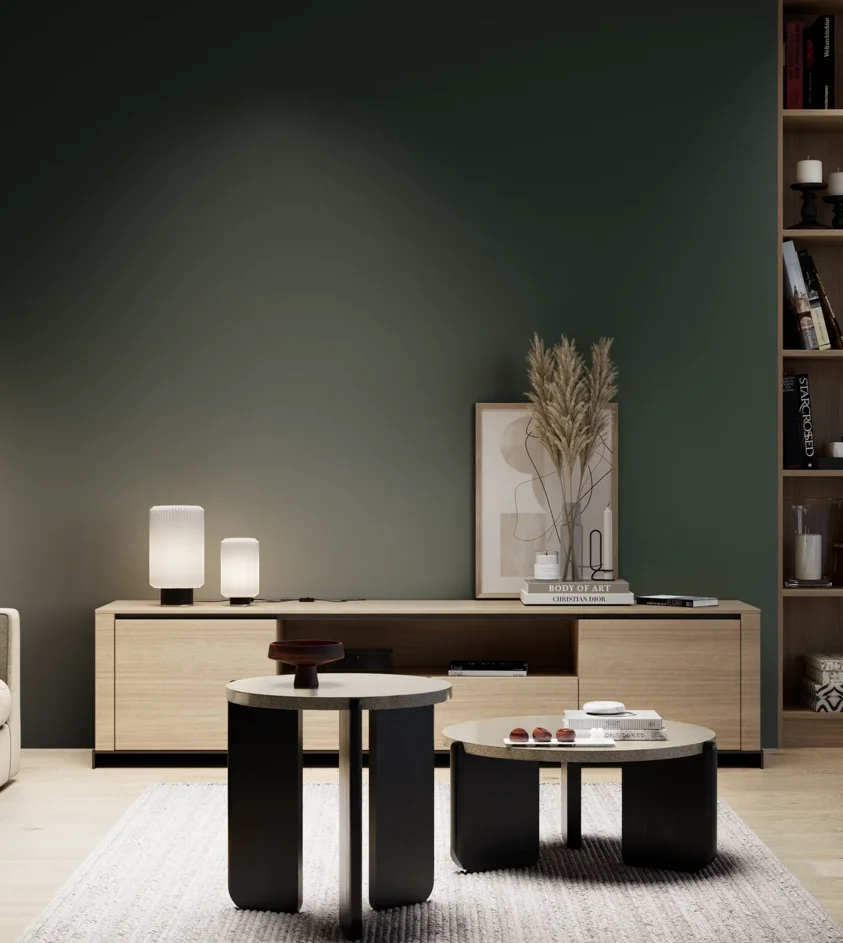 P10_SNIEZKA_salon_05_zimne_GREY_S8005-G