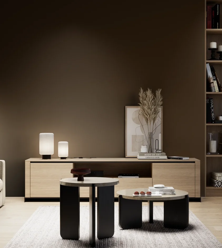 P10_SNIEZKA_salon_05_zimne_GREY_S8505-Y50R