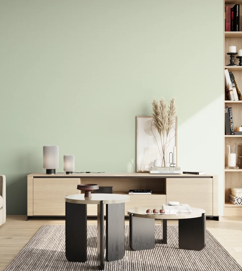 P10_SNIEZKA_salon_02_poludnie_GREY_S0510-G20Y