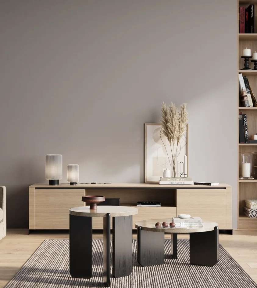 P10_SNIEZKA_salon_01_poranek_GREY_S2502-R50B