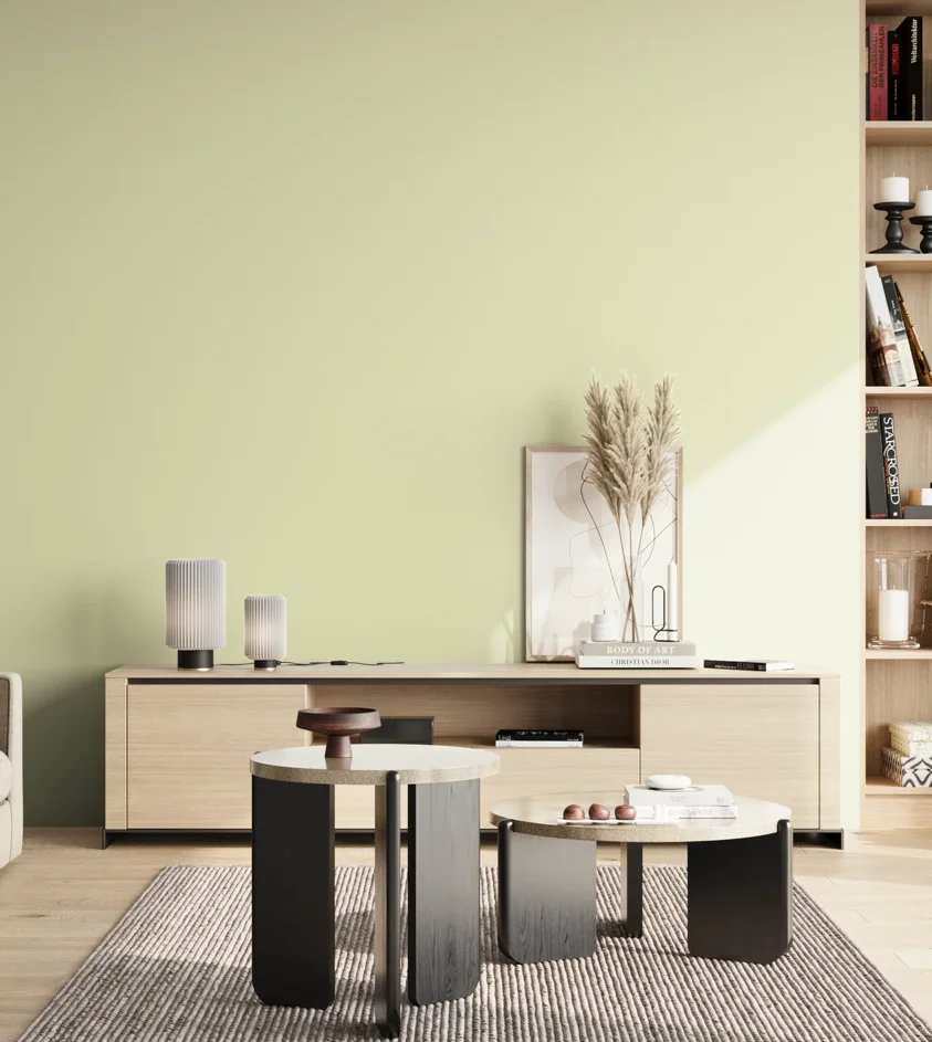 P10_SNIEZKA_salon_02_poludnie_GREY_S0510-G70Y