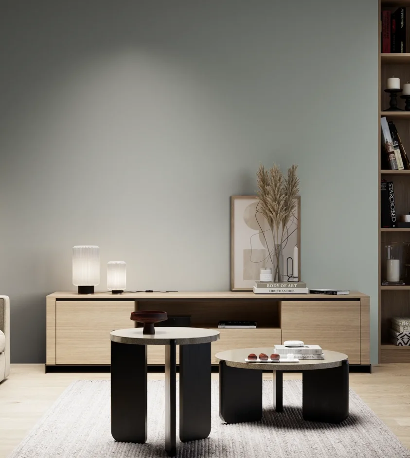 P10_SNIEZKA_salon_05_zimne_GREY_S3005-G