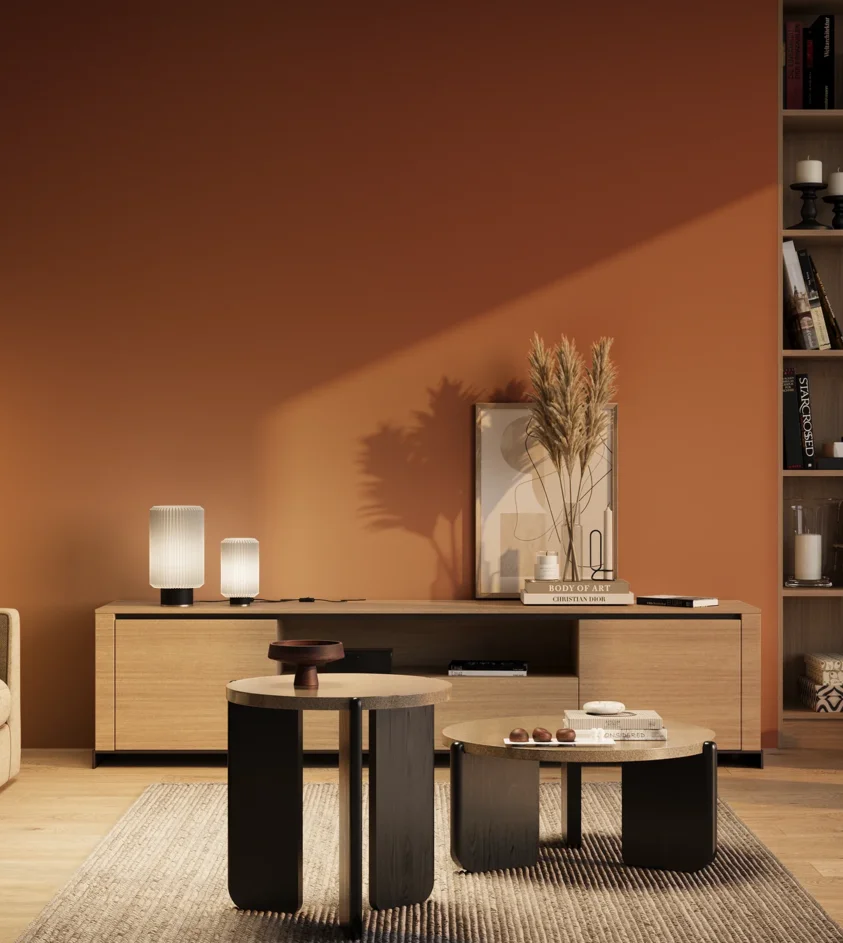 P10_SNIEZKA_salon_03_wieczor_GREY_RAL2001