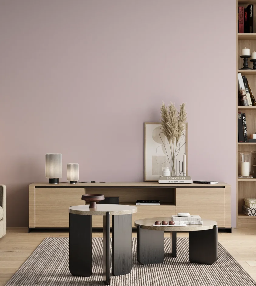 P10_SNIEZKA_salon_00_neutral_GREY_S0510-R30B