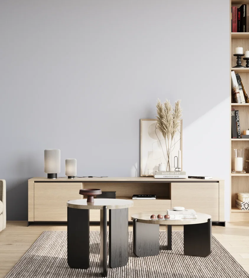 P10_SNIEZKA_salon_02_poludnie_GREY_S0510-R70B