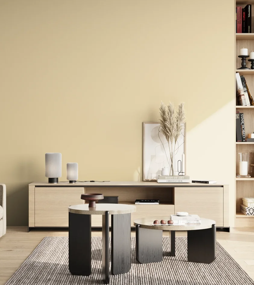 P10_SNIEZKA_salon_02_poludnie_GREY_S0510-Y20R