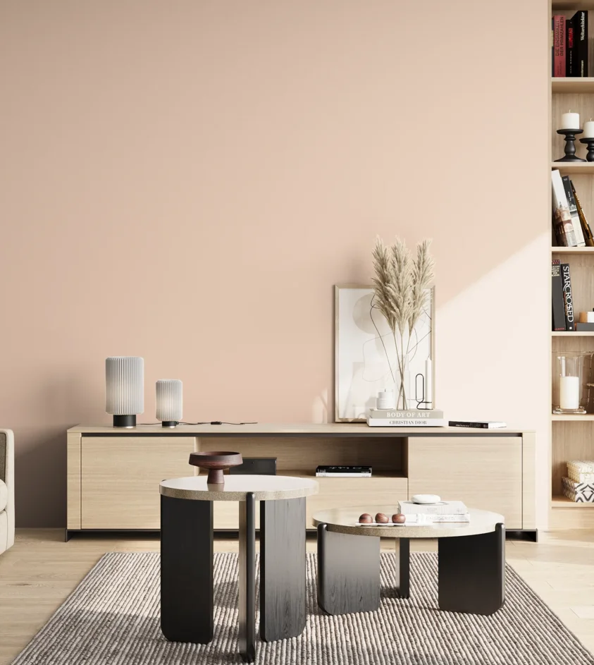 P10_SNIEZKA_salon_02_poludnie_GREY_S0510-Y70R