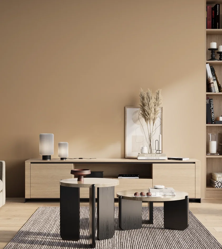 P10_SNIEZKA_salon_01_poranek_GREY_C8