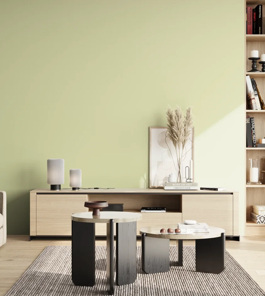 P10_SNIEZKA_salon_02_poludnie_GREY_S0515-G60Y