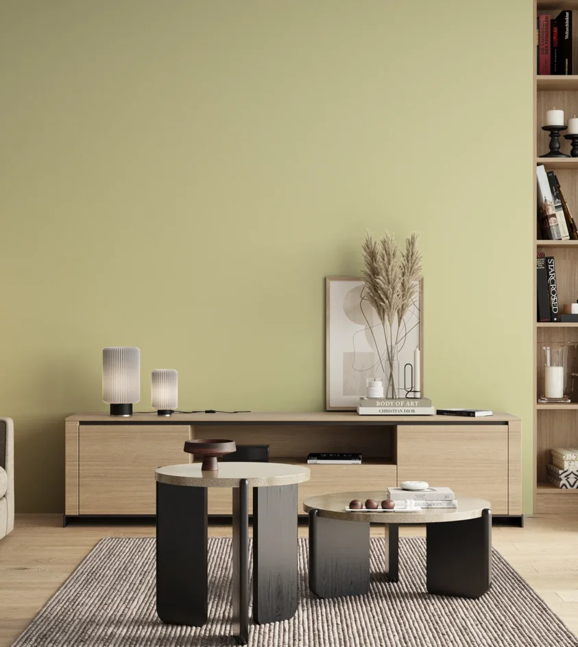 P10_SNIEZKA_salon_00_neutral_GREY_S0515-G80Y