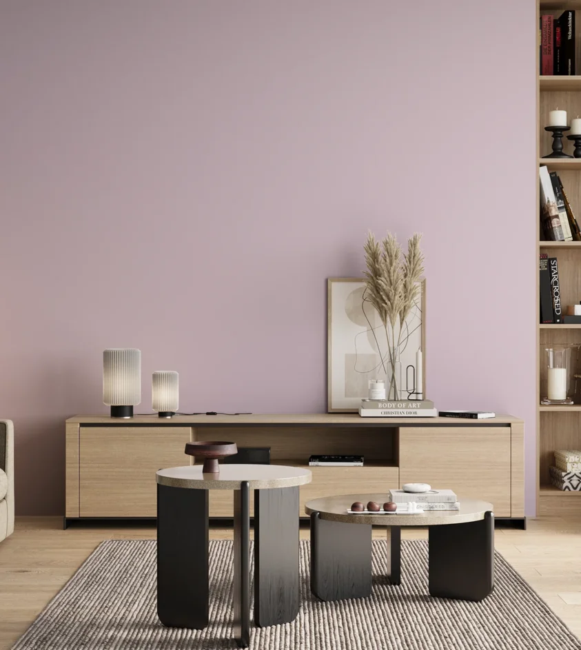 P10_SNIEZKA_salon_00_neutral_GREY_S0515-R40B