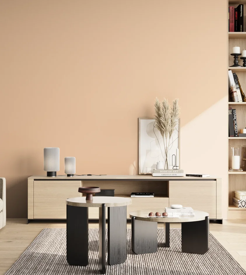 P10_SNIEZKA_salon_02_poludnie_GREY_S0515-Y50R