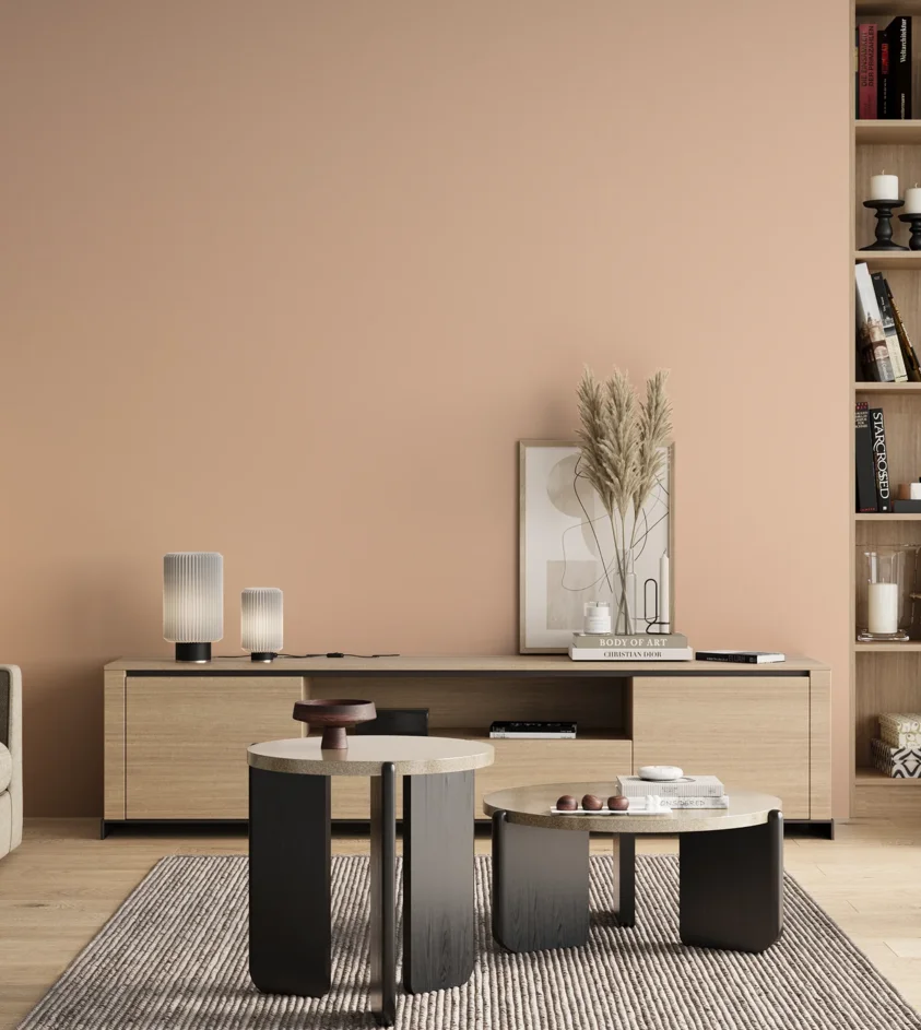 P10_SNIEZKA_salon_00_neutral_GREY_S0515-Y60R