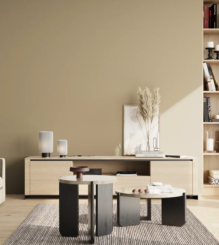 P10_SNIEZKA_salon_02_poludnie_GREY_C11
